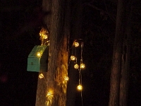 63433CrNrLeRe - Birdhouse - ornamental lights at the cottage.jpg
